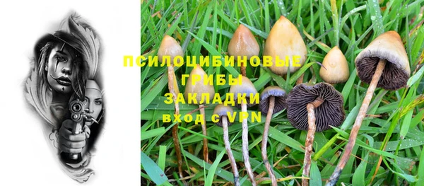 дживик Аркадак
