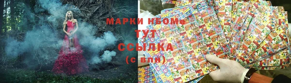 крисы Армянск
