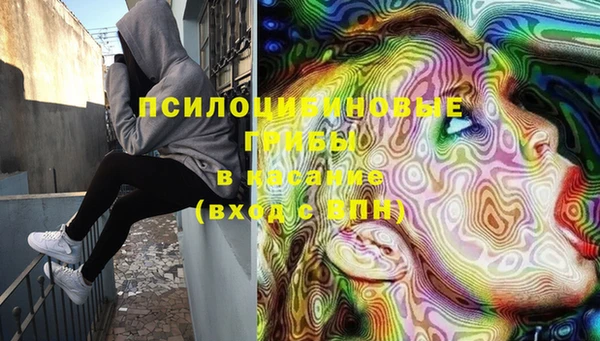 индика Нефтекумск