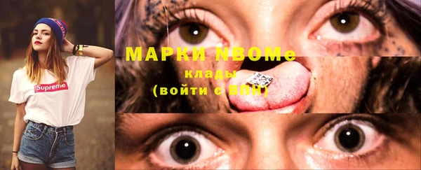 крисы Армянск