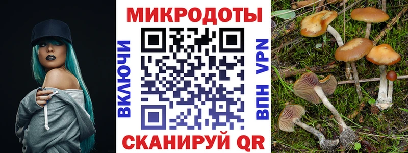Галлюциногенные грибы ЛСД Лагань